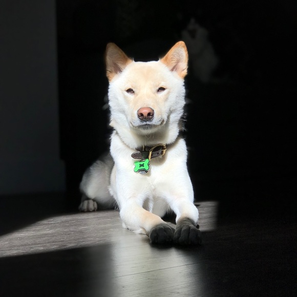 🙋🏽‍♀️HI, I’m Nadia! - Picture 6 of 10